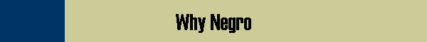 Why Negro